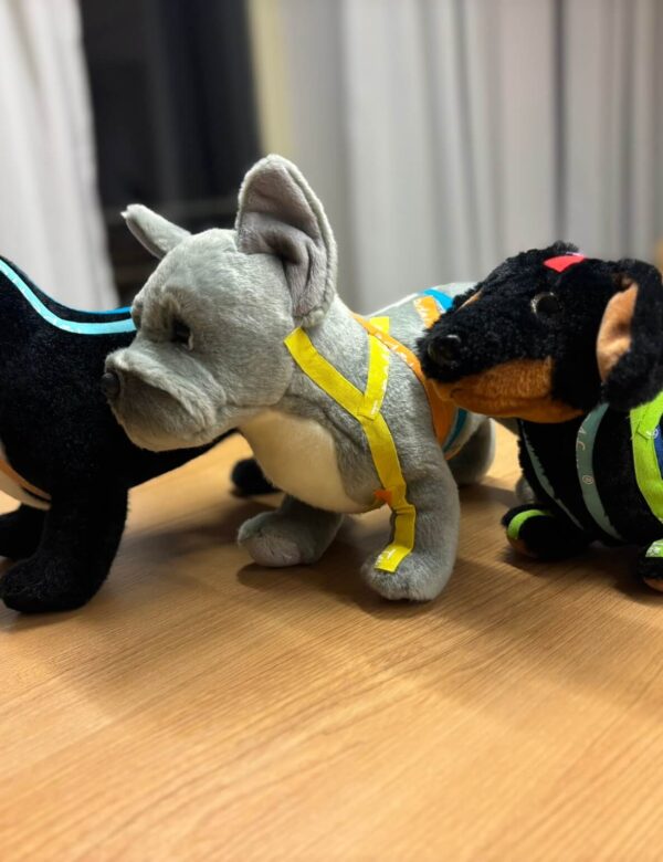 Canine Myofascial Kinetic Lines - opakování