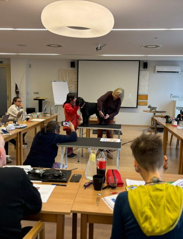 Workshop: Kraniosakrální terapie